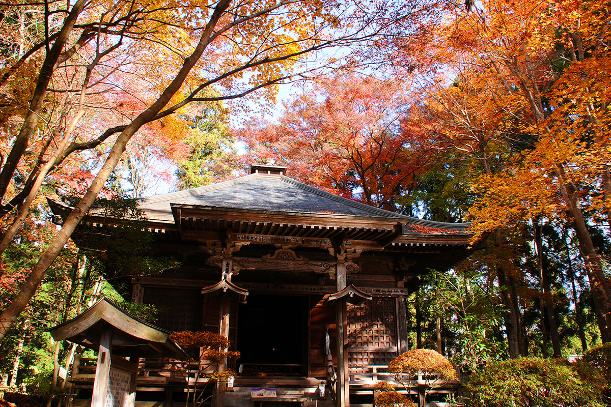 北東北(青森､岩手､秋田)秋日賞楓小旅行提案 - 秋天 | 歡迎來到東北