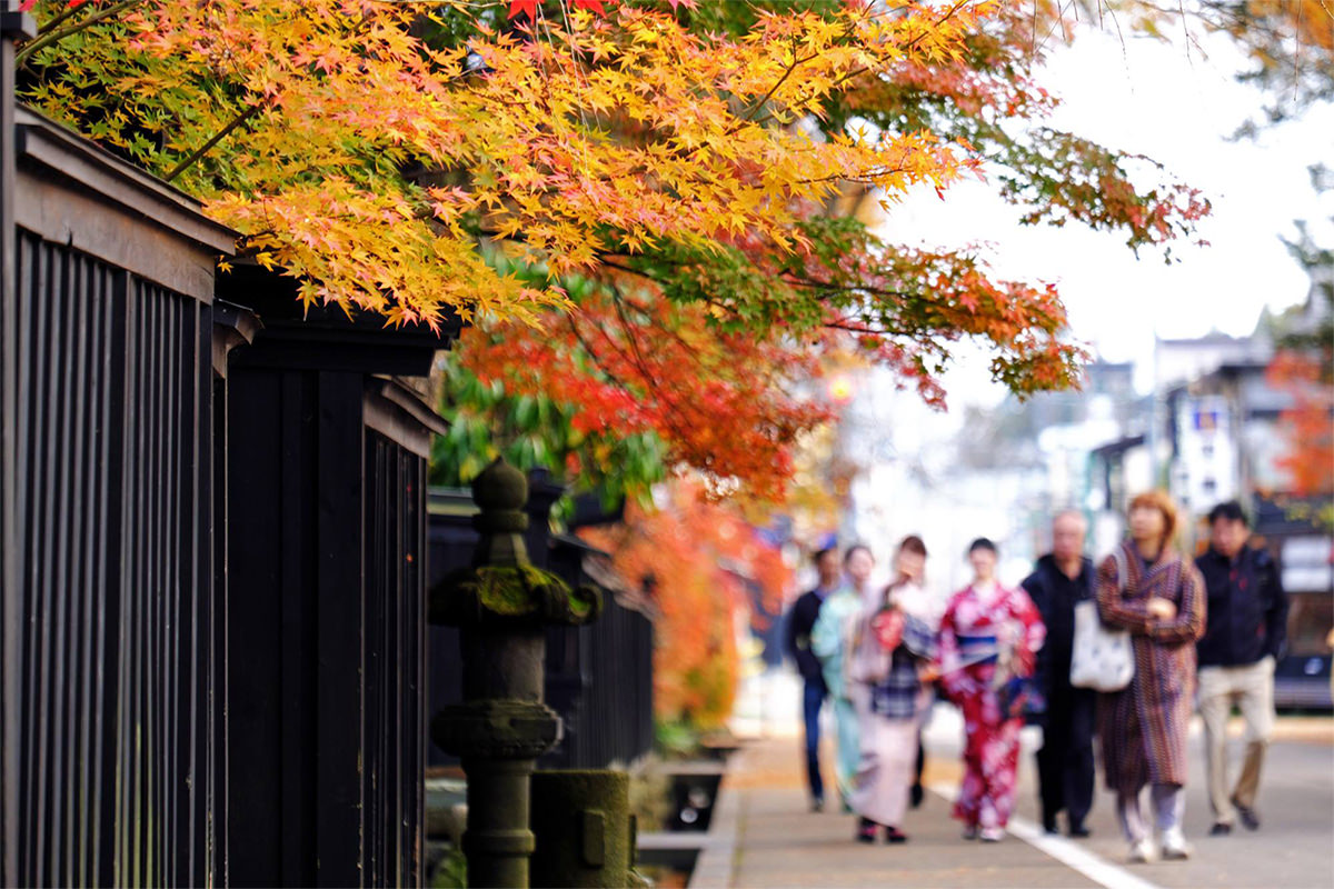 北東北(青森､岩手､秋田)秋日賞楓小旅行提案 - 秋天 | 歡迎來到東北