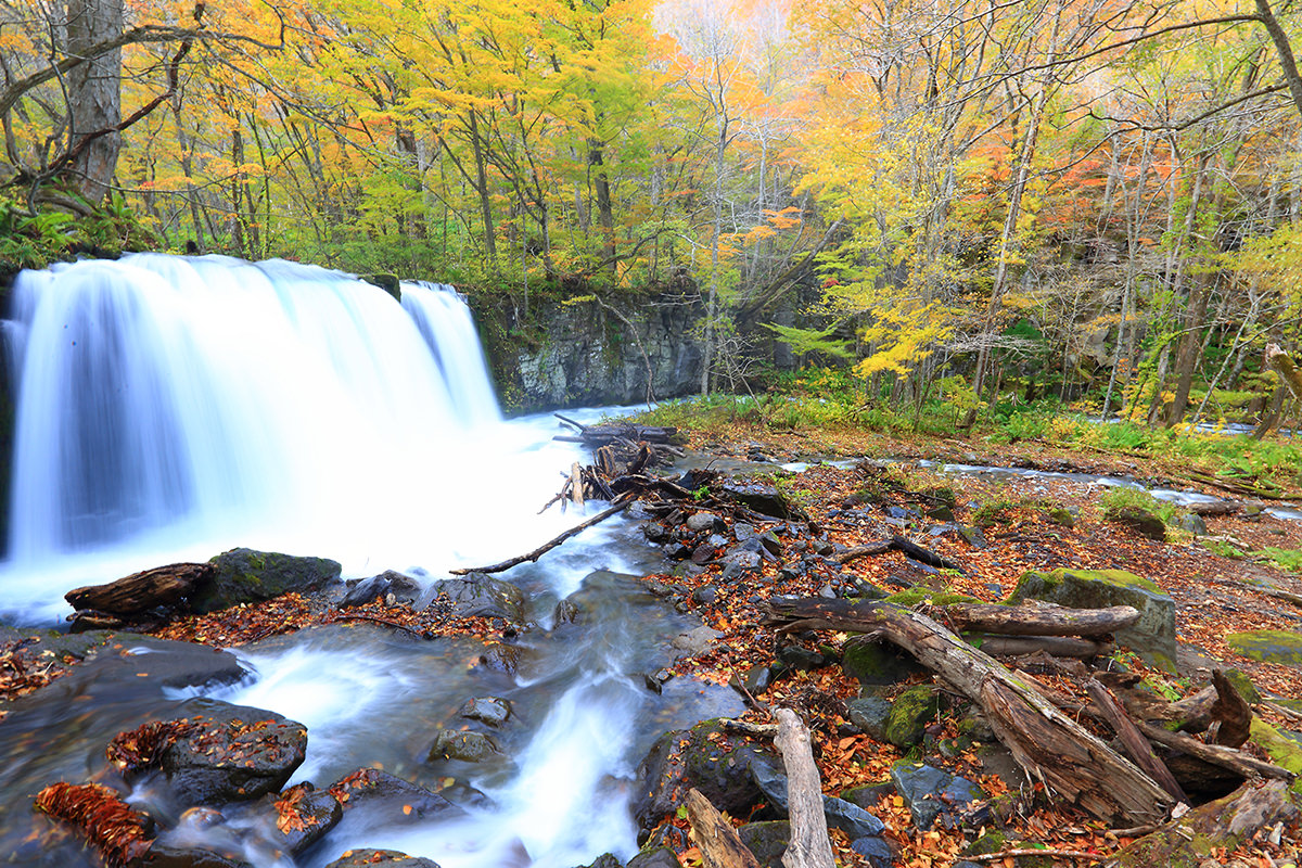 北東北(青森､岩手､秋田)秋日賞楓小旅行提案 - 秋天 | 歡迎來到東北