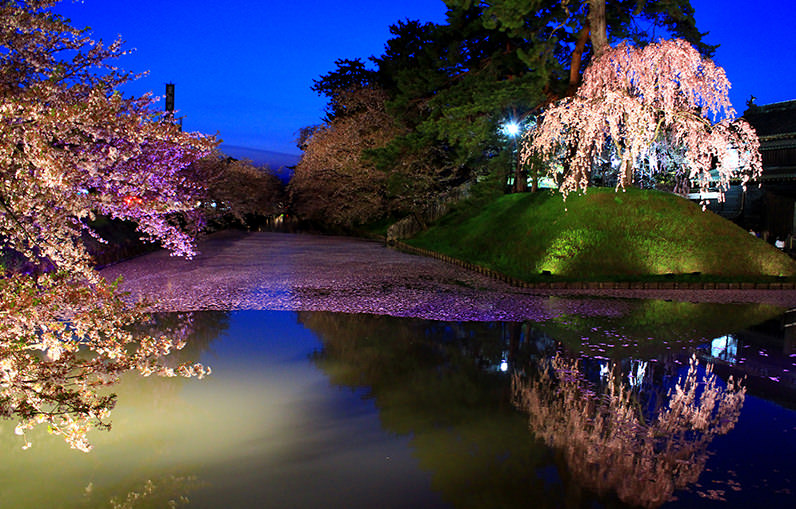 北東北。春物語：徜徉在粉櫻的停格夢境裡 - 春天 | 歡迎來到東北