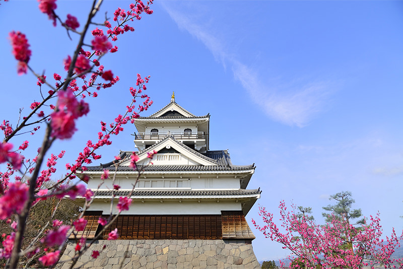 春日暢遊東北當地人才知道的櫻花名勝 - 春天 | 歡迎來到東北