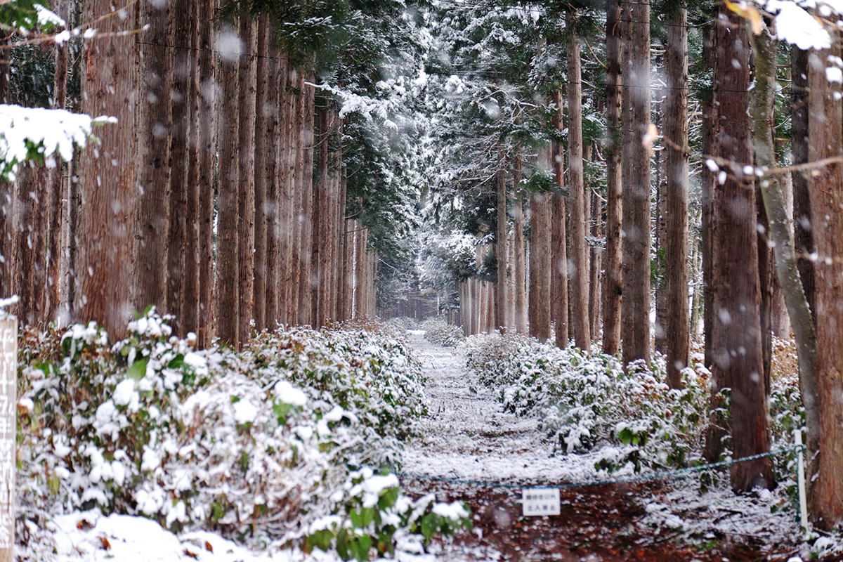 相約在冬季的東北賞雪暨溫泉美食之旅 - 冬天 | 日本東北超好玩