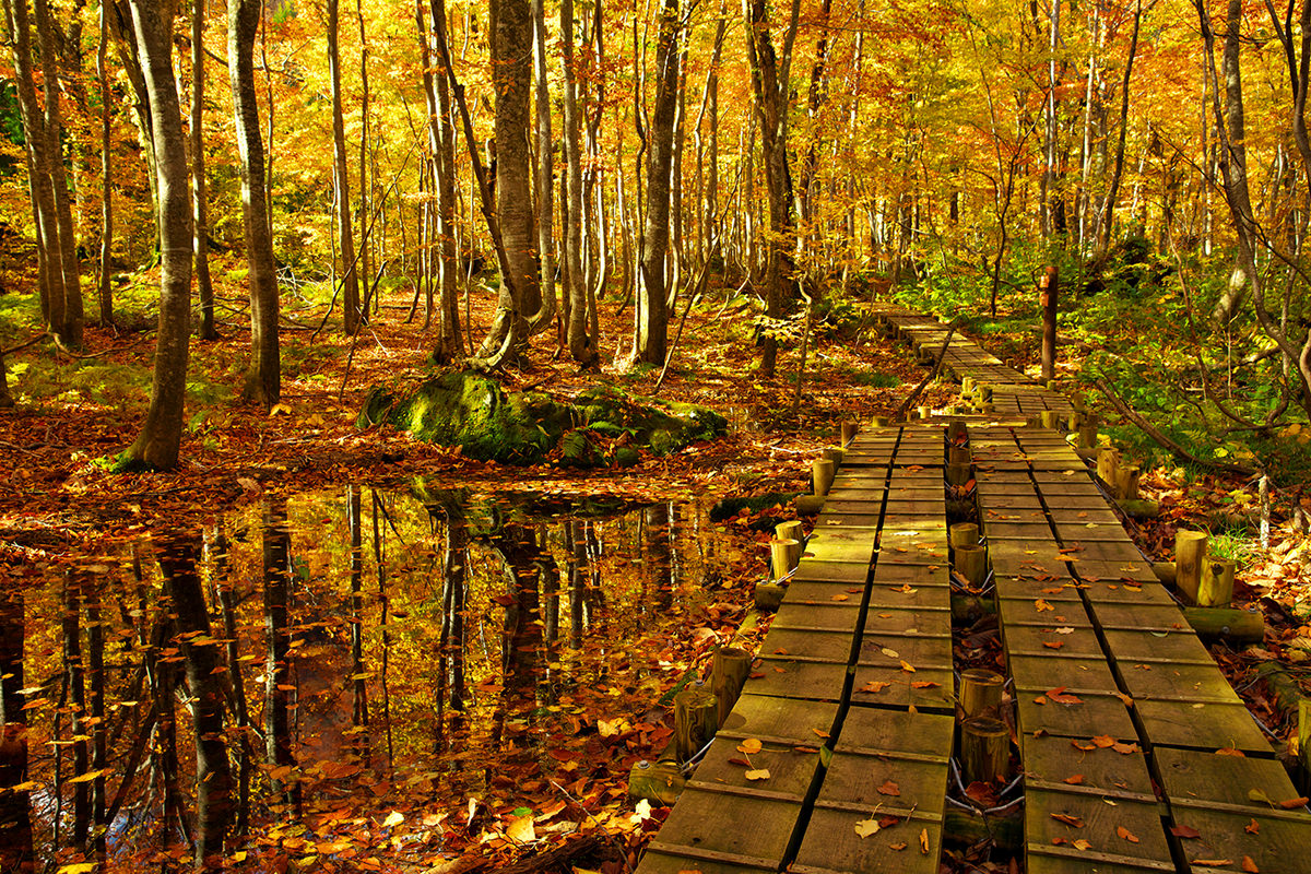 Tohoku Autumn Spots - AUTUMN - WELCOME TO TOHOKU JAPAN