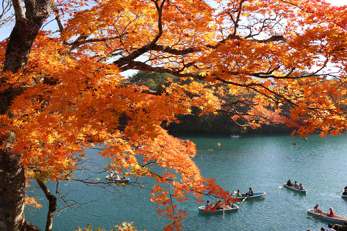 Fall in Tohoku: Getting in Touch with Nature in Yamagata and Fukushima - AUTUMN - WELCOME TO TOHOKU JAPAN