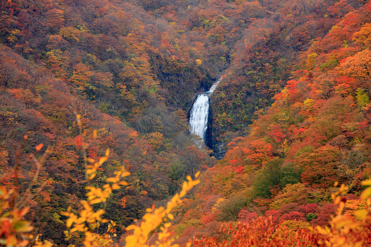Fall in Tohoku: Getting in Touch with Nature in Yamagata and Fukushima - AUTUMN - WELCOME TO TOHOKU JAPAN
