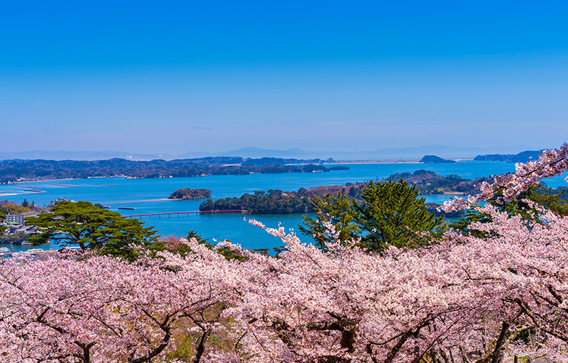 Springtime in Miyagi: Dive Deep into Northern Japan - SPRING - WELCOME TO TOHOKU JAPAN