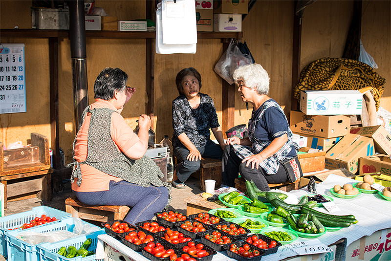 Tohoku in Spring: Northern Japan's Exciting Destinations - SPRING - WELCOME TO TOHOKU JAPAN