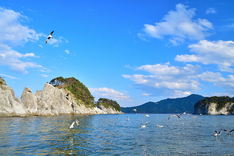 Tohoku in Spring: Northern Japan's Exciting Destinations - SPRING - WELCOME TO TOHOKU JAPAN