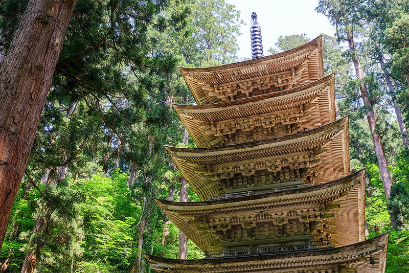 Tohoku in Spring: Northern Japan's Exciting Destinations - SPRING - WELCOME TO TOHOKU JAPAN