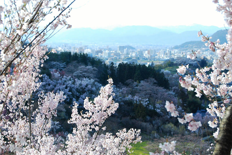 A Spring Fling in Tohoku  - SPRING - WELCOME TO TOHOKU JAPAN