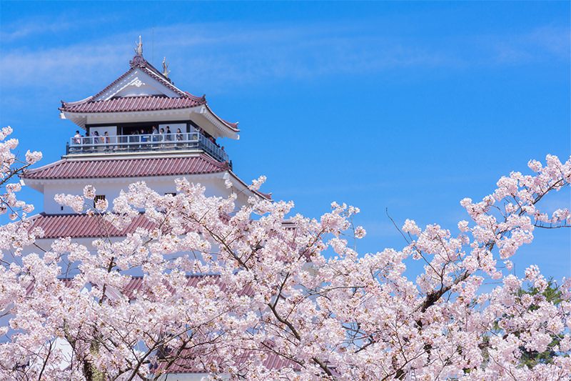 A Spring Fling in Tohoku  - SPRING - WELCOME TO TOHOKU JAPAN